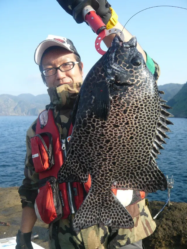 勝負！南伊豆石鯛対決！｜釣具のイシグロ |釣り情報サイト
