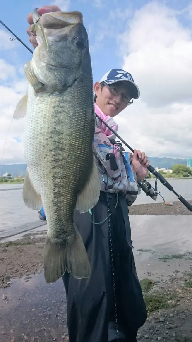 ウェーディンで楽しむ夏の琵琶湖 釣具のイシグロ 釣り情報サイト