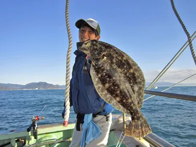 ヒラメのさばき方＆刺身｜釣具のイシグロ |釣り情報サイト