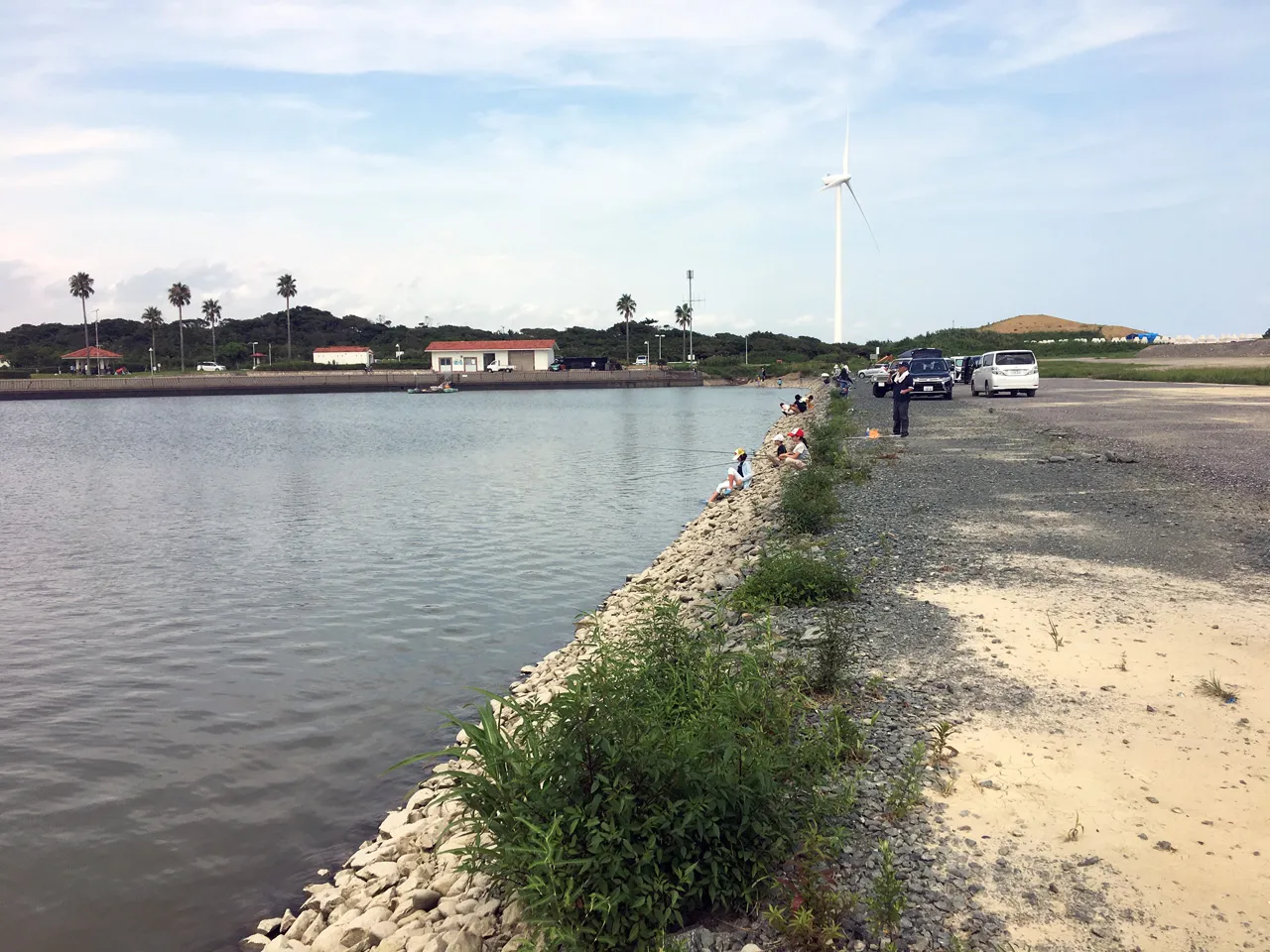 竜洋海洋公園前の池 磐田市 釣具のイシグロ 釣り情報サイト