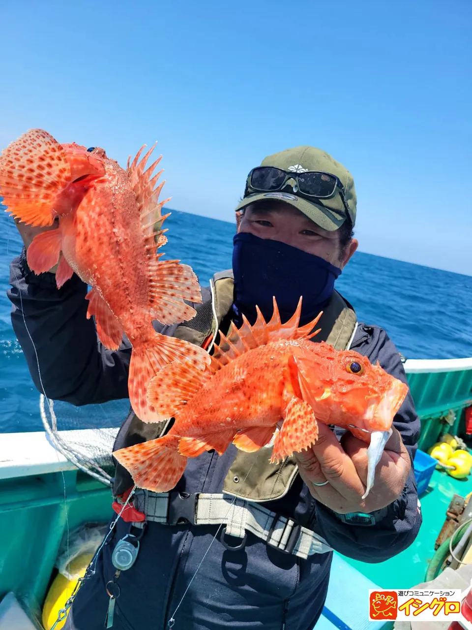 オニカサゴのトゲ処理方法とヒレ酒 釣具のイシグロ 釣り情報サイト