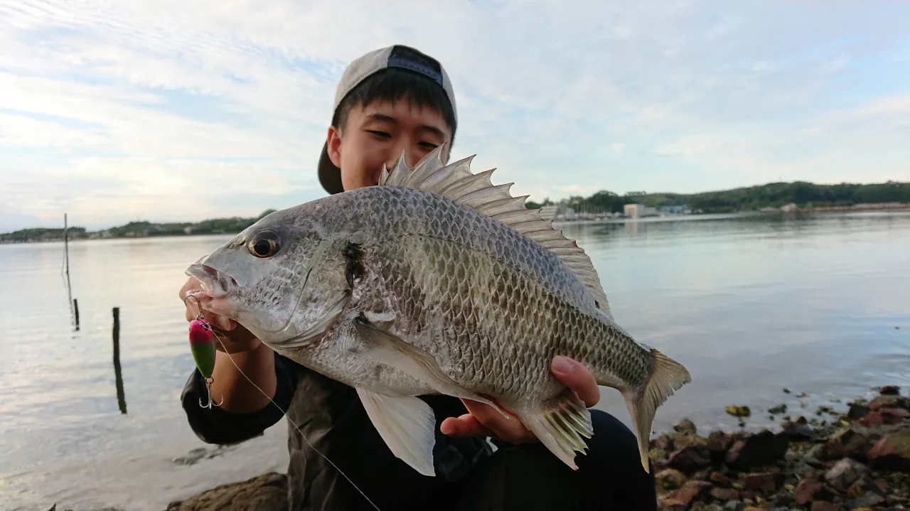 2020夏の浜名湖】チヌのトップゲーム＆シーバスがアツイ!!｜釣具の