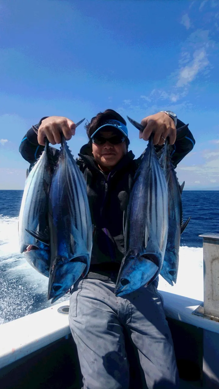 速報 駿河湾カツオ爆釣 釣具のイシグロ 釣り情報サイト