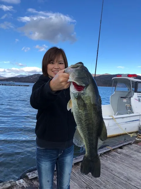 山中湖でまだまだバス釣れてます 釣具のイシグロ 釣り情報サイト