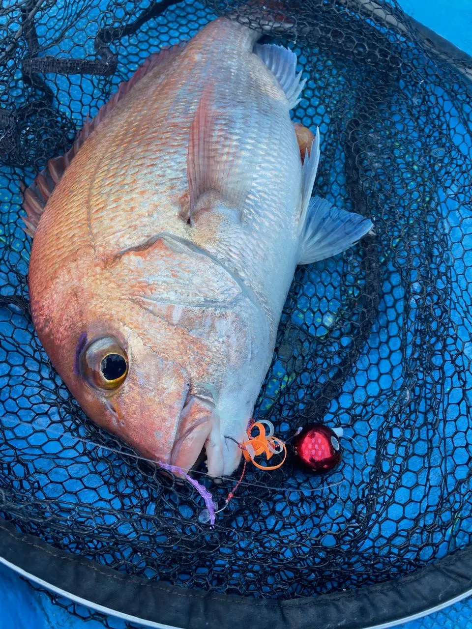 うっしーのタイラバ釣行 冬でも釣れる ディープタイラバゲーム 釣具のイシグロ 釣り情報サイト