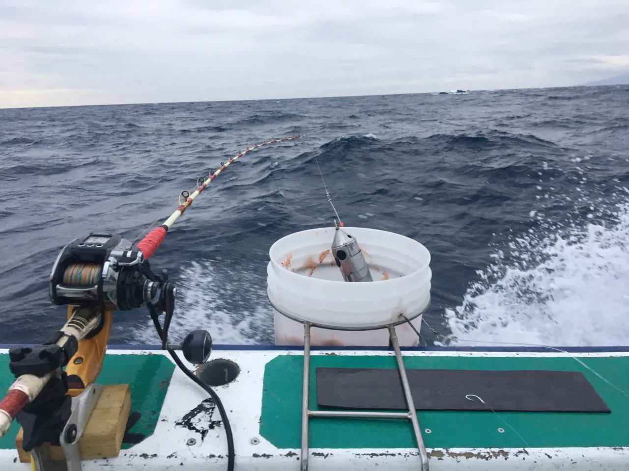 ☆神津島 海惣丸☆ 脂ノリノリ シマアジ釣行！｜釣具のイシグロ |釣り