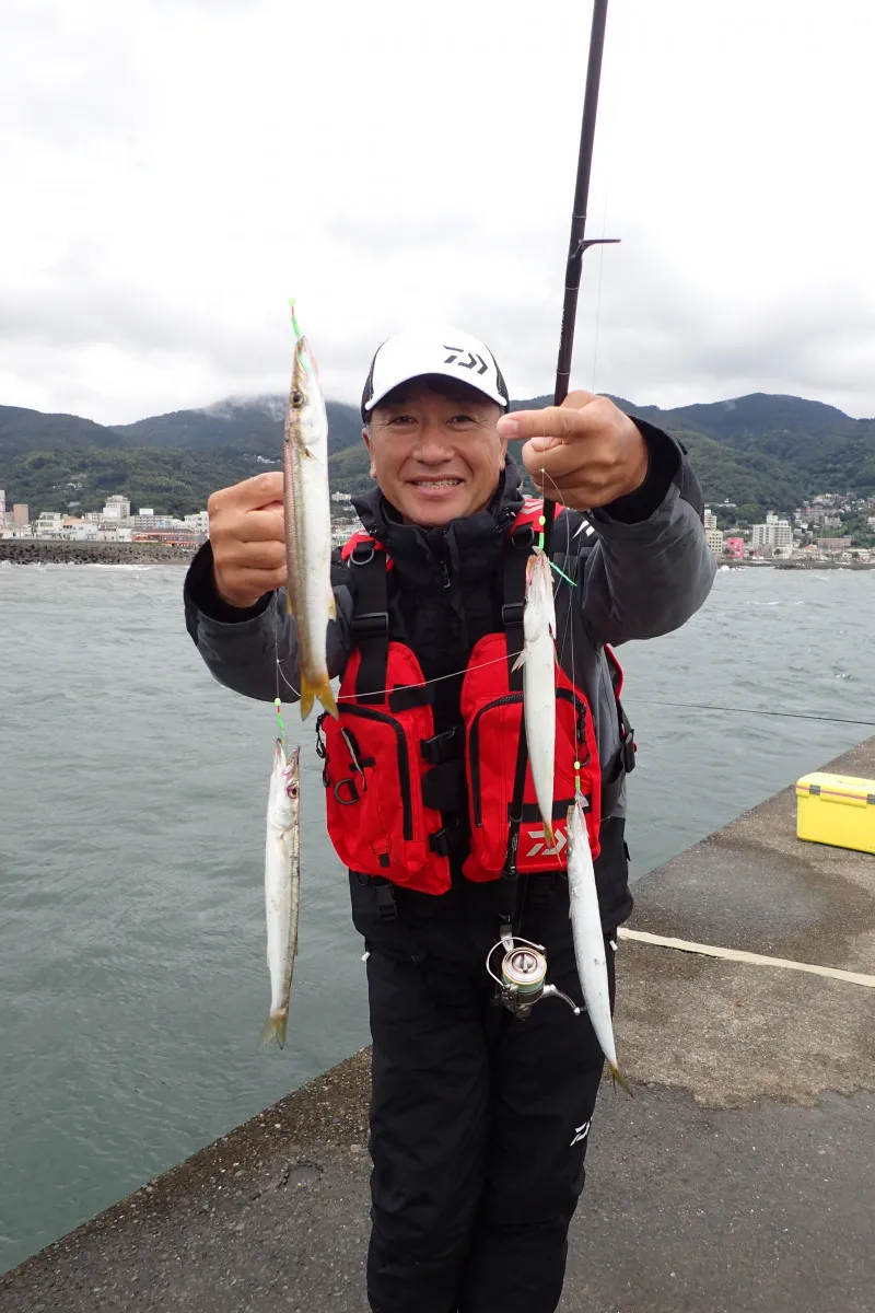 イシグロ伊東店 東伊豆堤防釣果情報 カマスまだまだ釣れてます 釣具のイシグロ 釣り情報サイト