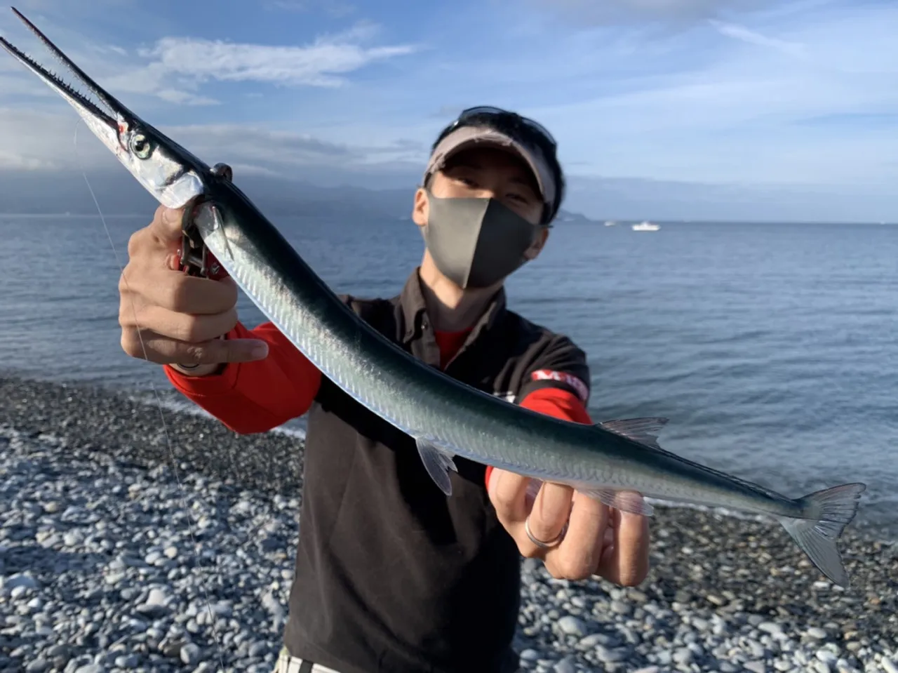 タマンモンスター遠投 巨鯉 カープ 青物 泳がせ カンダイ ブリ 