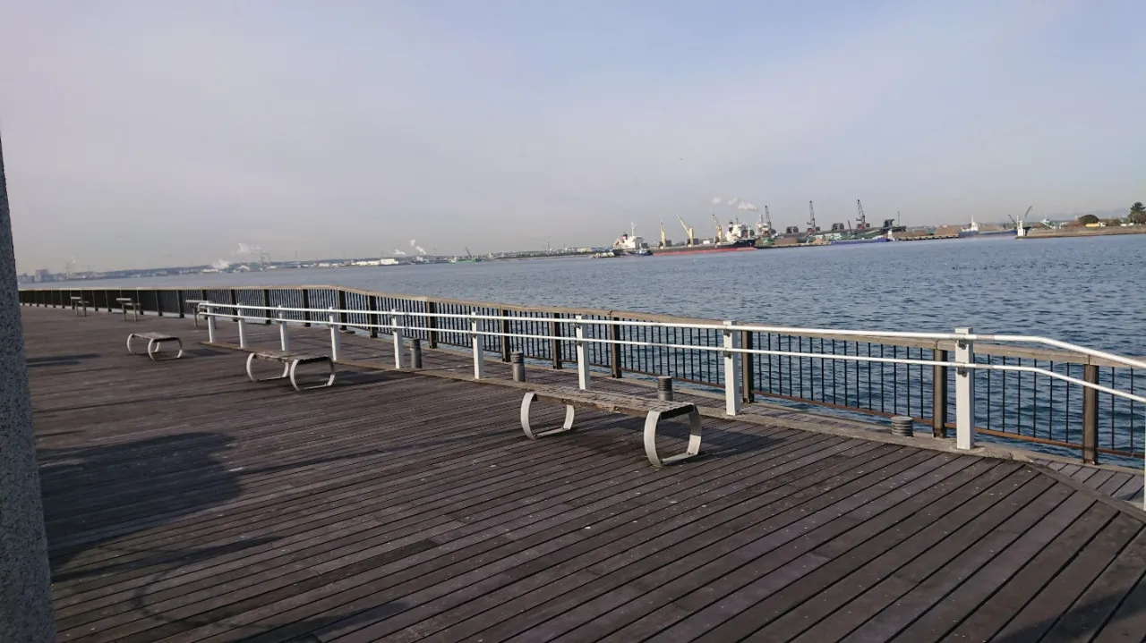 まだサビキ釣り行けるか 本日の碧南海釣り公園 衣浦海底トンネル イシグロ西尾店 釣具のイシグロ 釣り情報サイト