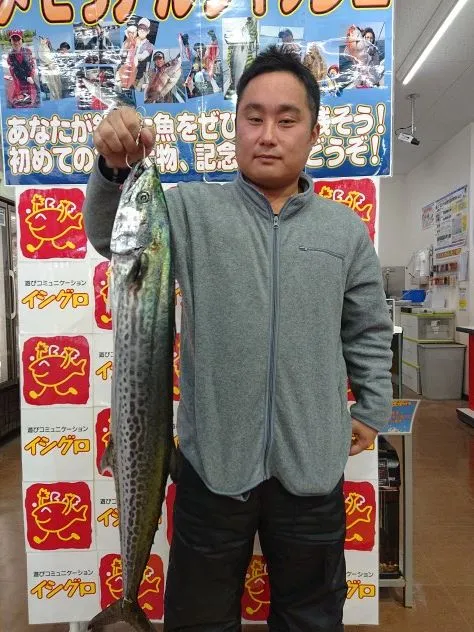 イシグロ半田店 お客様釣果 知多半島オカッパリでサワラ まだまだ釣れてます 釣具のイシグロ 釣り情報サイト