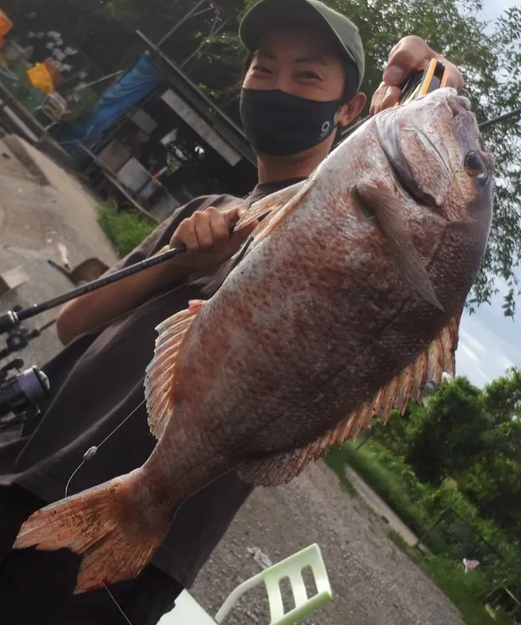 イシグロ半田店 爆釣 美浜フィッシングパーク 知多半島の釣堀に行ってきました 時合いで連発 釣具のイシグロ 釣り情報サイト