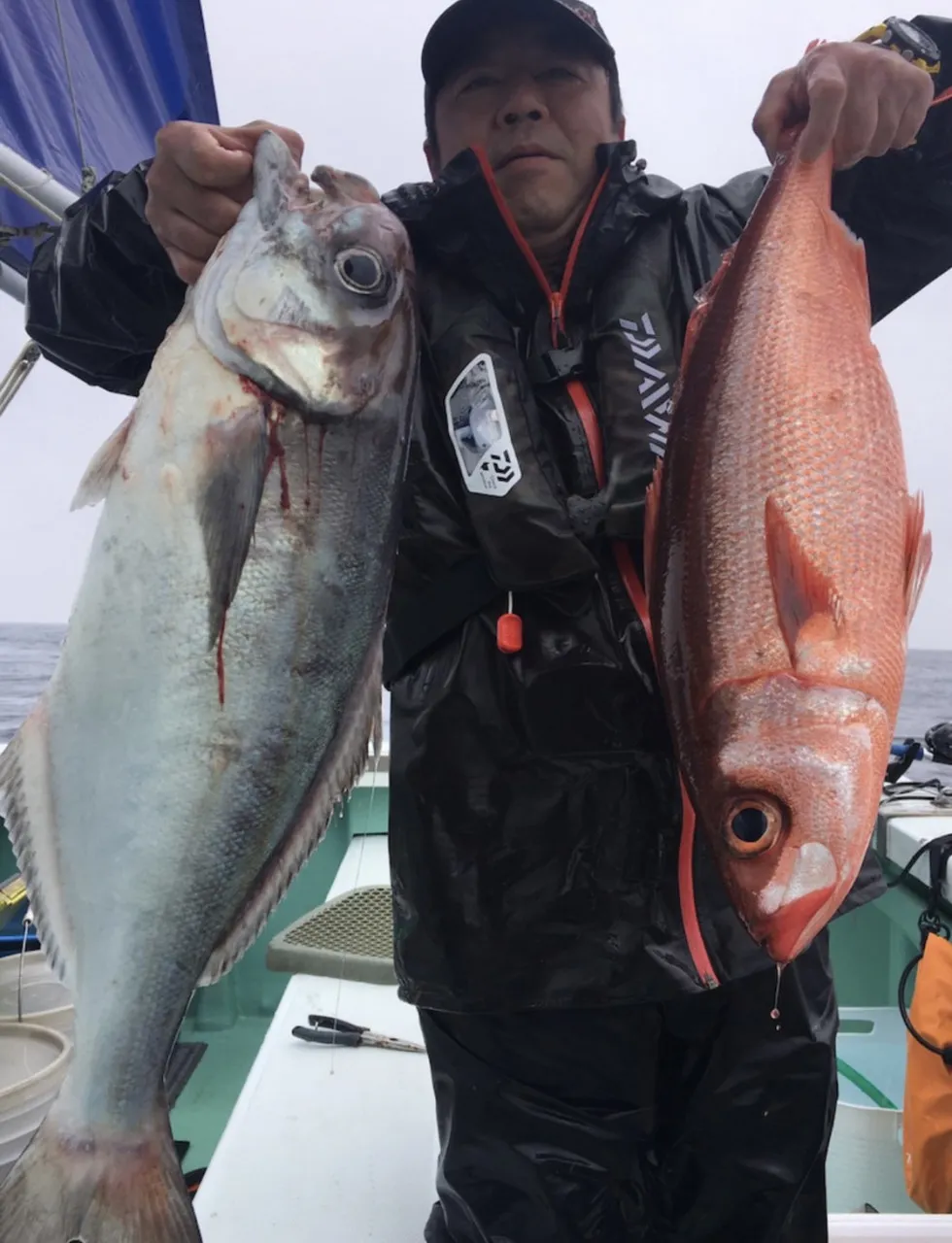 高級魚 パワーファイター メダイ 釣るなら今っ お客様釣果情報 イシグロ半田店 釣具のイシグロ 釣り情報サイト