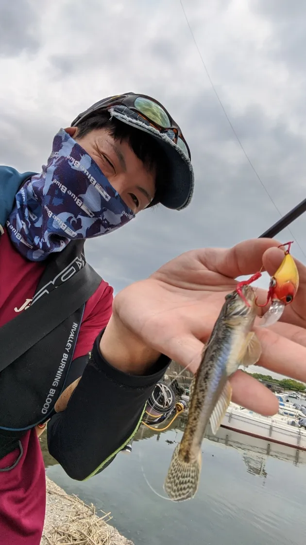夏休みにオススメ 亀崎でハゼ爆釣 ルアーでも入れ食いです 釣具のイシグロ 釣り情報サイト