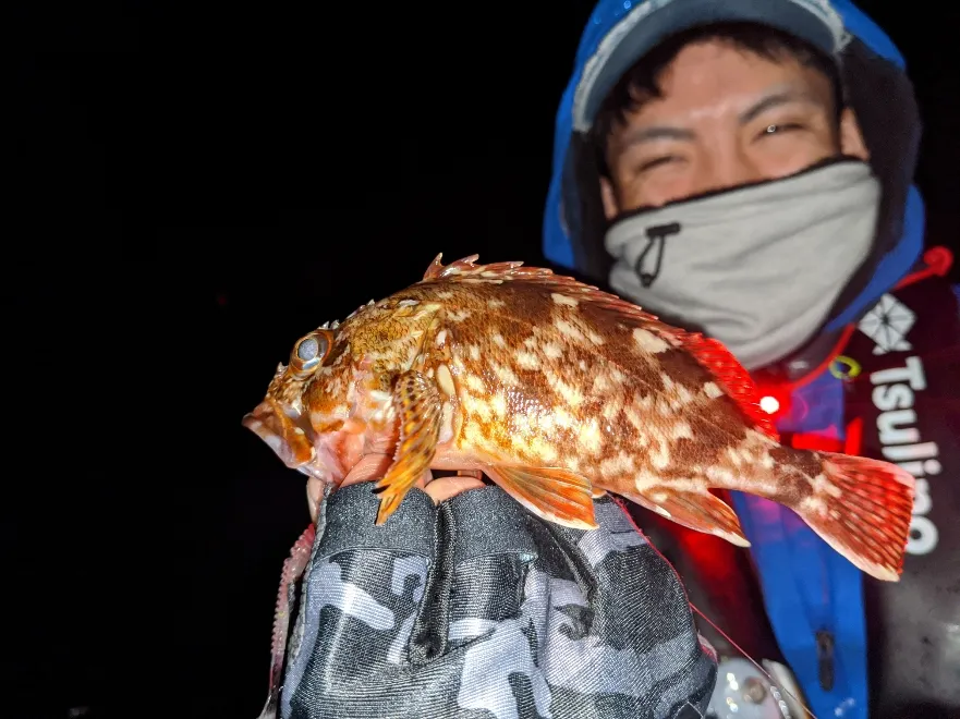 渥美半島 ショアジグでまさかの高級魚 西浦のカサゴも楽しめます 釣具のイシグロ 釣り情報サイト