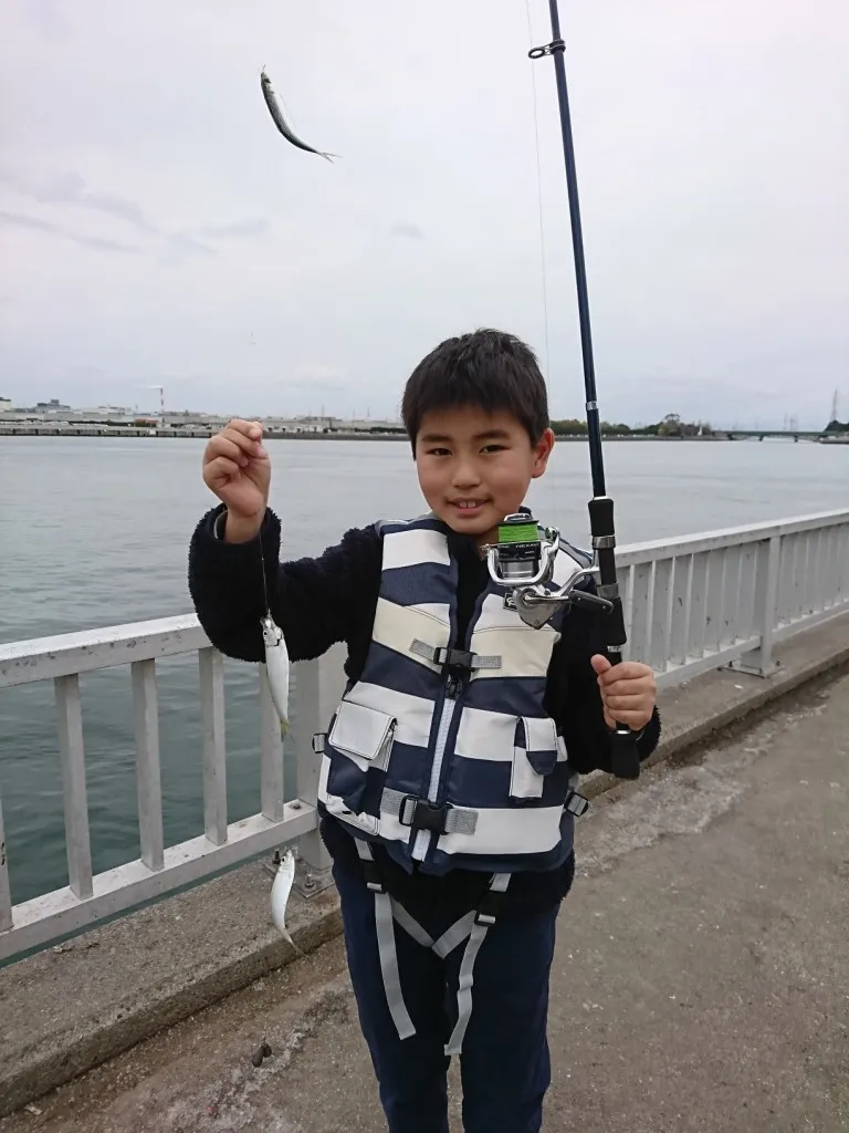 中川かの里店 碧南でコノシロが釣れています 釣具のイシグロ 釣り情報サイト