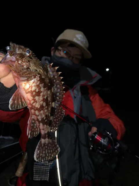 彦根店釣果情報 三重県尾鷲でライトゲームを満喫 釣具のイシグロ 釣り情報サイト