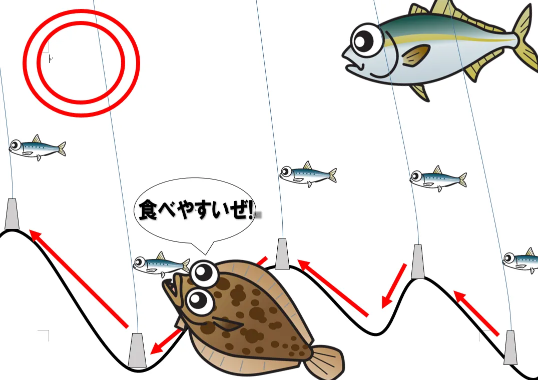 解説♪♪紀伊長島≪和栄丸さん≫で大人気ののませ釣り！高級魚連発