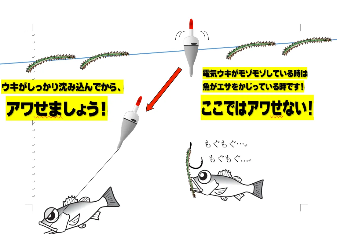 シーバスのバチ抜けシーズンは【電気ウキ】も面白い‼｜釣具のイシグロ