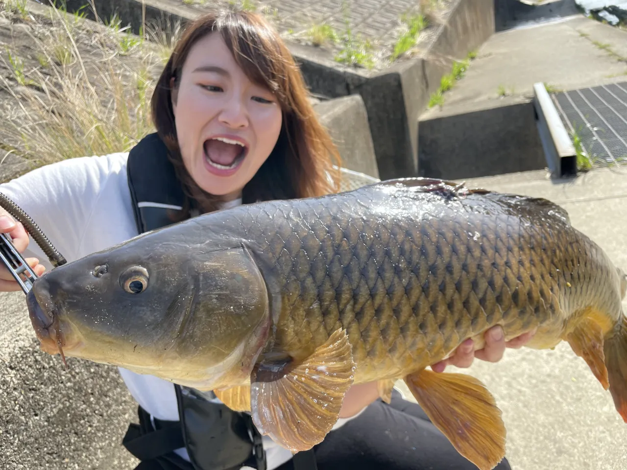 ぜひ 鯉釣り師の方へ (^-^) - ロッド