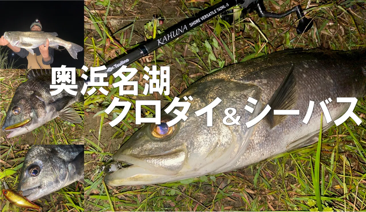 KAHUNA STREAM HUNT】2023渓流釣行Vol.12【流翠47】｜釣具のイシグロ 