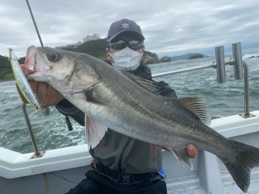 伊良湖港出船「FishingGuideLaluna」様でシーバス乱舞！！｜釣具のイシグロ |釣り情報サイト