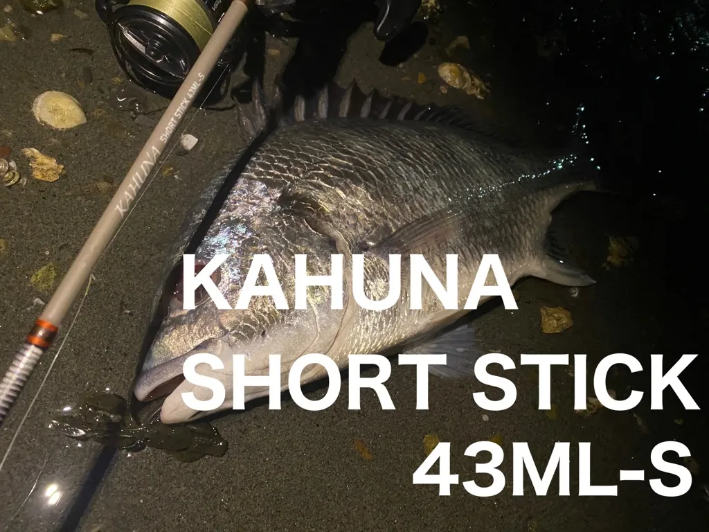 浜名湖キビレ】本気で遊べる超ショートロッド、Tsulino KAHUNA SHORT STICK 43ML-S プロトテスト｜釣具のイシグロ  |釣り情報サイト