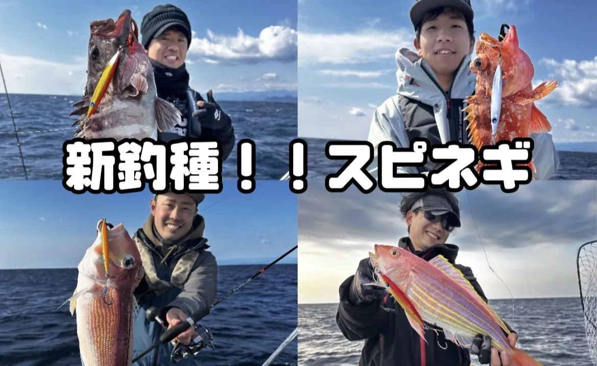 スピネギ】釣って楽しい食べて美味しい魚種狙い♪｜釣具のイシグロ