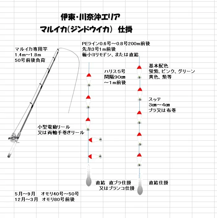 伊東エリア 浅場マルイカシーズン開幕 その マルイカ釣りとは イシグロ フィッシングアドバイザー 釣具のイシグロ 釣り情報サイト