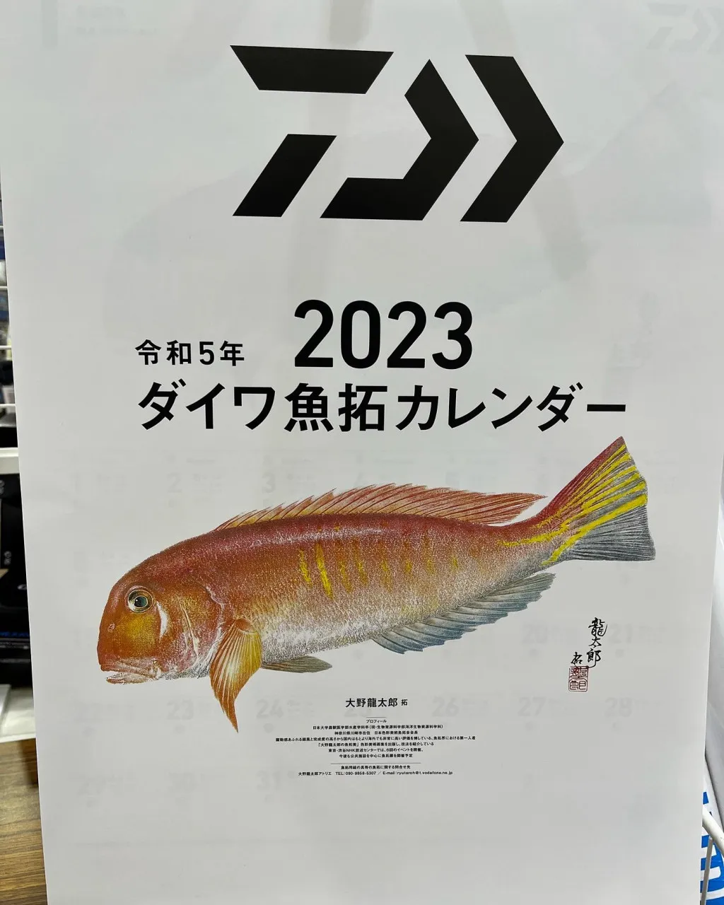 新製品入荷情報 23年 ダイワ シマノカレンダー入荷しました イシグロ 沼津店 釣具のイシグロ 釣り情報サイト