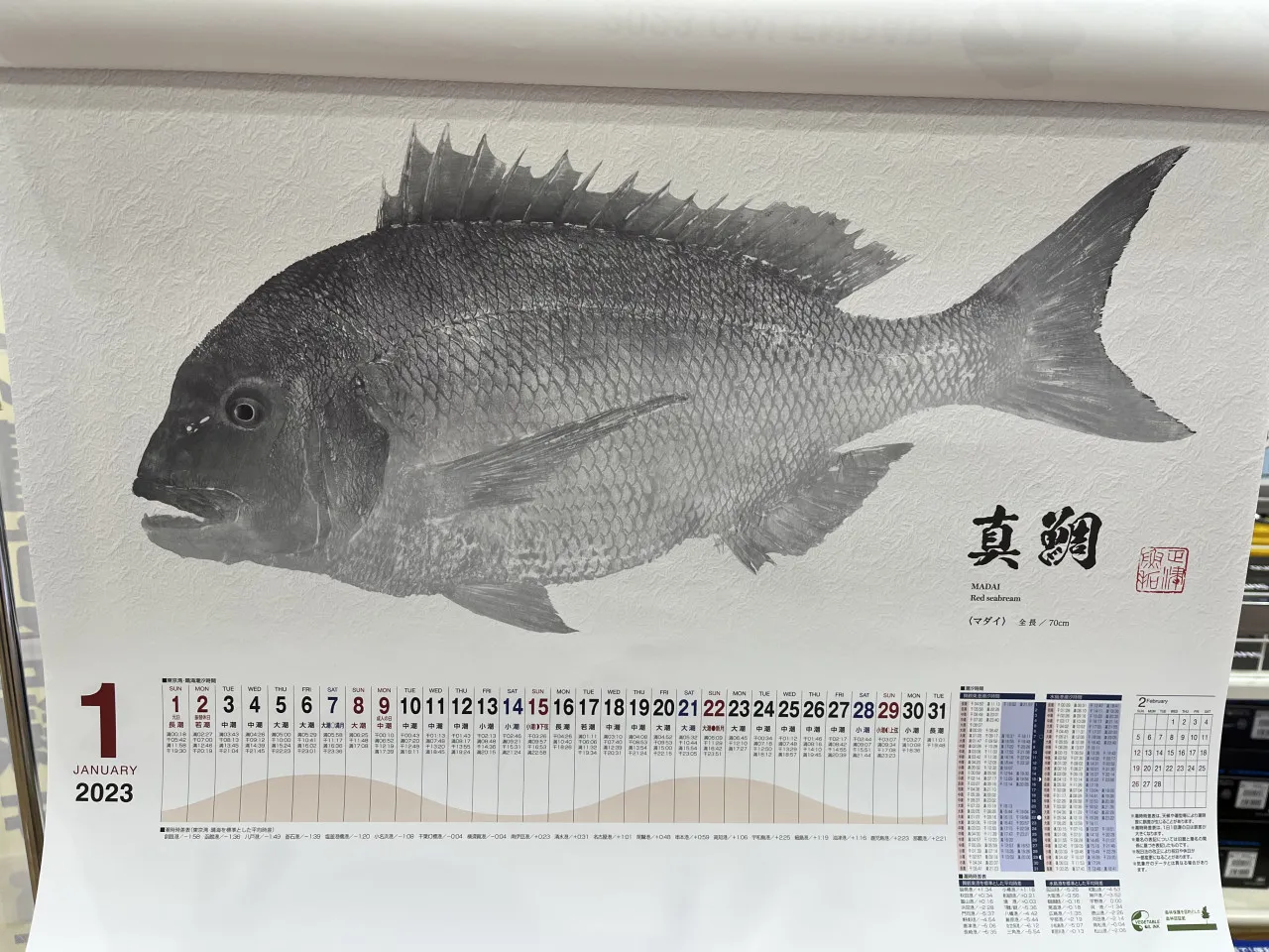 釣具のポイント 2023年 非売品 魚拓カレンダー 送料無料 - フィッシング