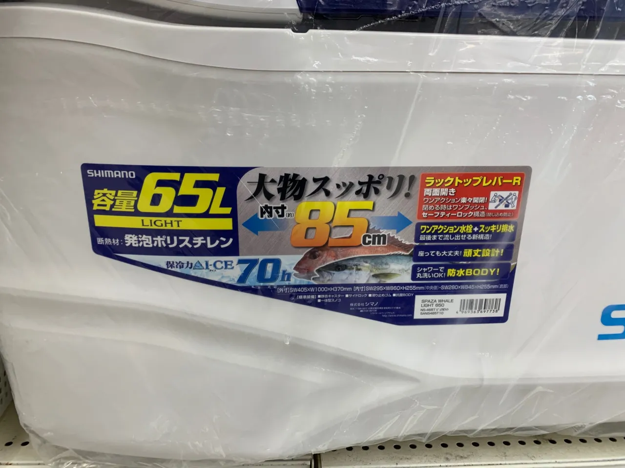 大型クーラーボックス入荷しました♪｜イシグロ岡崎大樹寺店｜釣具のイシグロ |釣り情報サイト