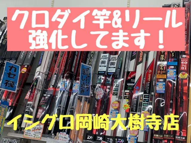 今からが旬！黒鯛工房＆シマノ、イカダ＆カセリール・竿強化しました(*'▽')イシグロ岡崎大樹寺店｜イシグロ岡崎大樹寺店｜釣具のイシグロ |釣り情報サイト