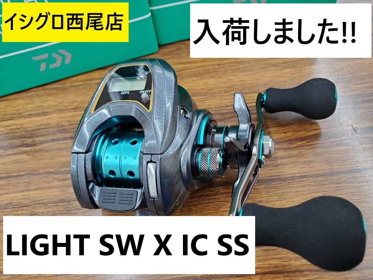 Daiwa Light SW x IC SS L Bait Reel with Counter