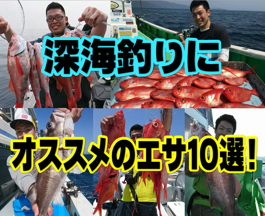 イシグロ半田店 担当者厳選 深海釣りにオススメのエサ１０選 イシグロ 半田店 釣具のイシグロ 釣り情報サイト