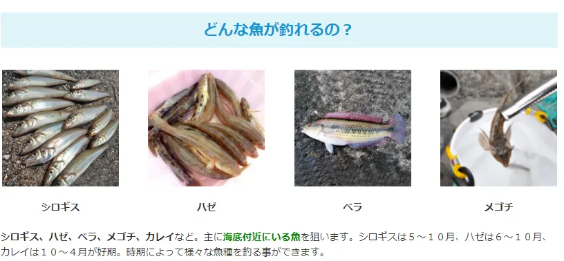 便利なサビキ ちょい投げ釣り仕掛けセットのご紹介 イシグロ 名東引山店 釣具のイシグロ 釣り情報サイト