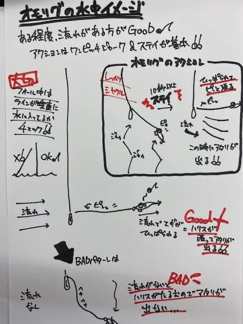 イカメタル】オモリグのやり方＆コツ！！｜イシグロ岐阜店｜釣具のイシグロ |釣り情報サイト