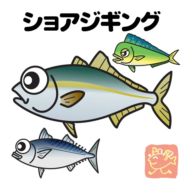 ショアジギング 釣具のイシグロ 釣り情報サイト