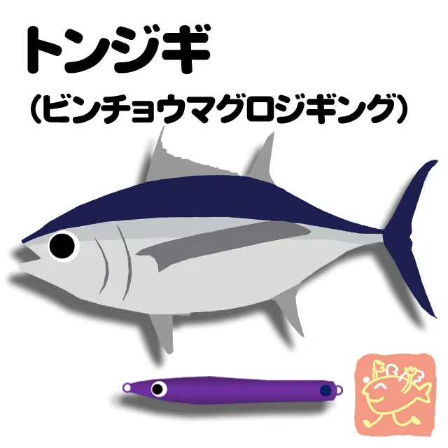 トンジギ ビンチョウマグロジギング 釣具のイシグロ 釣り情報サイト