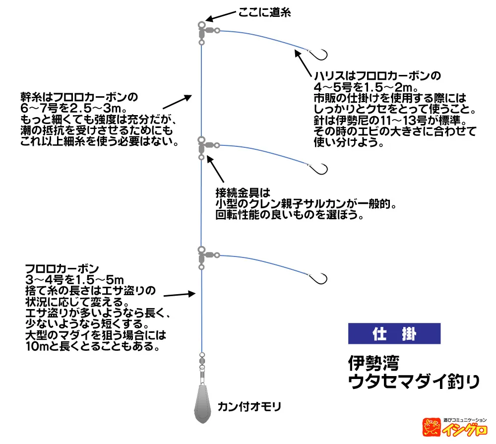 伊勢湾 ウタセマダイ釣り 釣具のイシグロ 釣り情報サイト