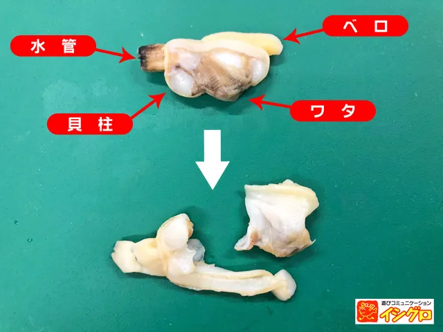 船 カワハギ釣り 釣具のイシグロ 釣り情報サイト