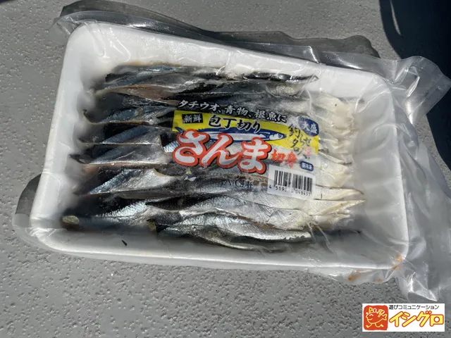 船 タチウオのエサ釣り 釣具のイシグロ 釣り情報サイト