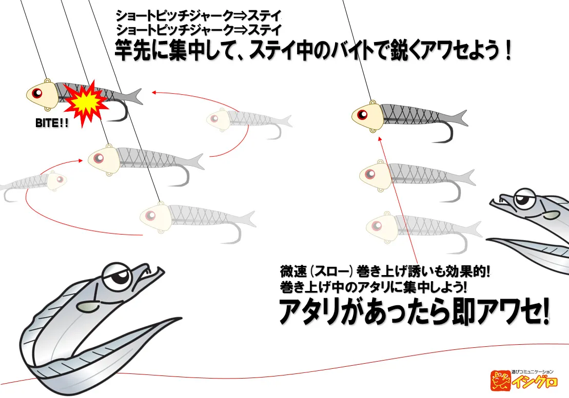 タチウオテンヤ 釣具のイシグロ 釣り情報サイト