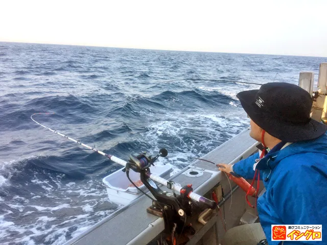 駿河湾 カツオのコマセ釣り 釣具のイシグロ 釣り情報サイト