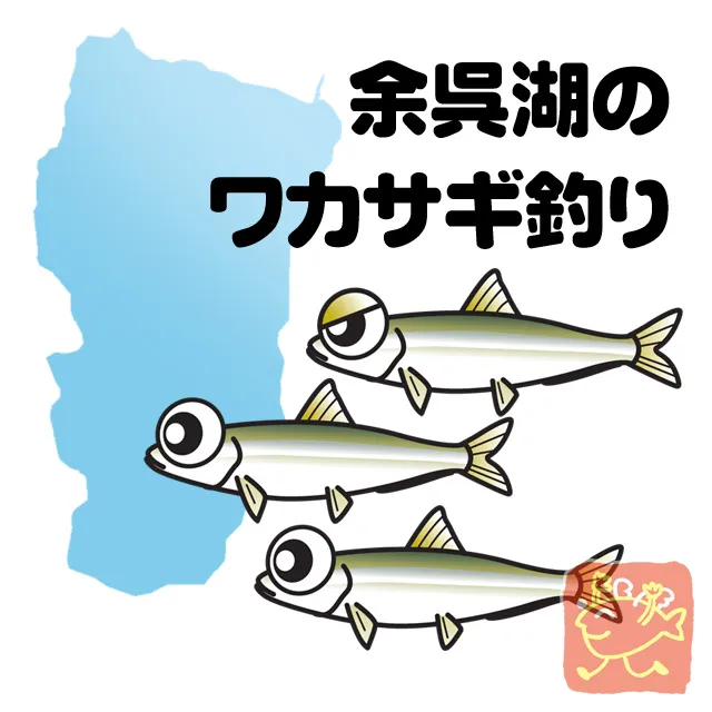 余呉湖のワカサギ釣り 釣具のイシグロ 釣り情報サイト