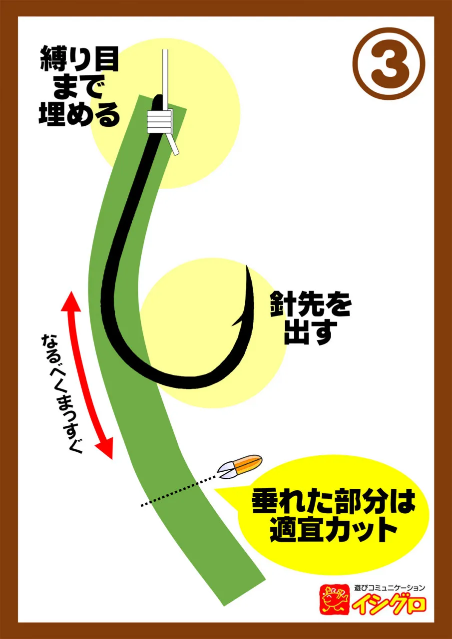 イソメの刺し方 釣具のイシグロ 釣り情報サイト