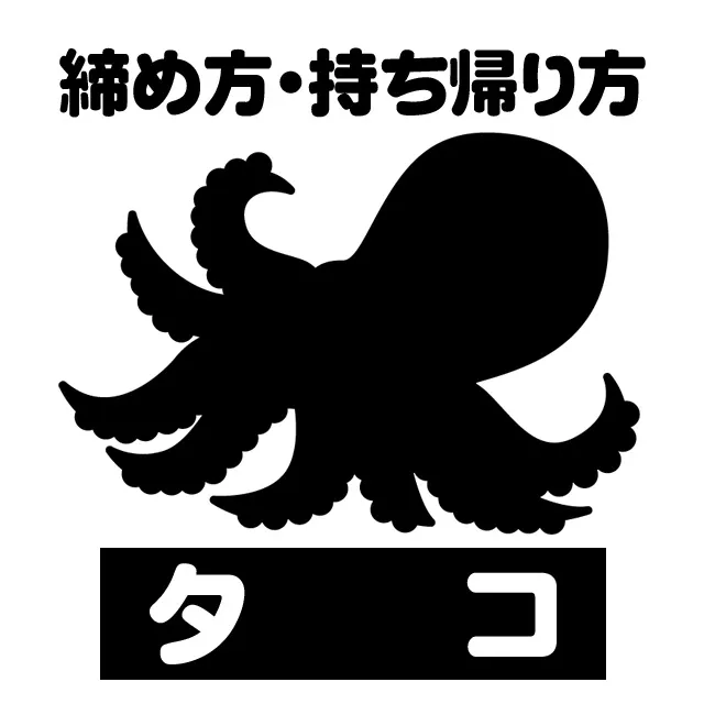 タコの締め方 持ち帰り方 下処理方法 釣具のイシグロ 釣り情報サイト