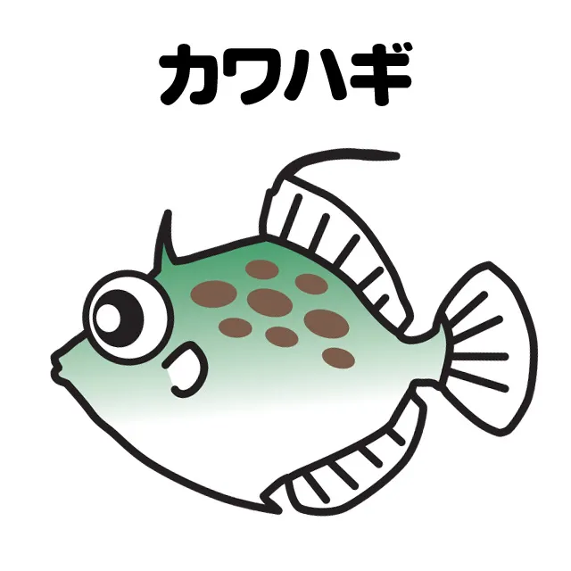 堤防のカワハギ釣り 釣具のイシグロ 釣り情報サイト