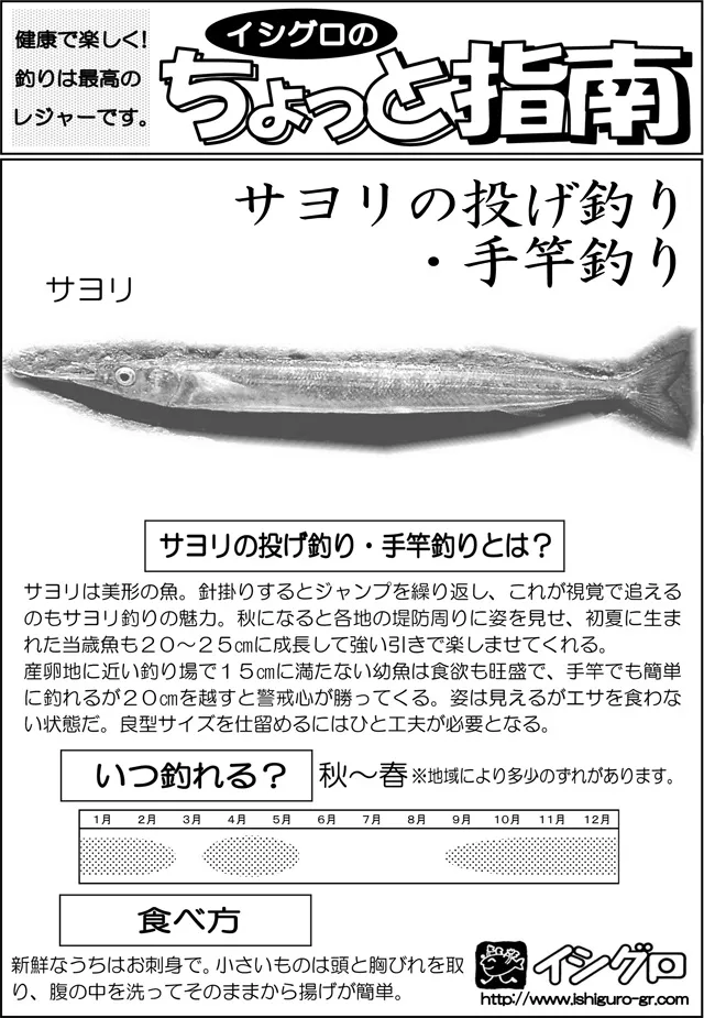 サヨリの投釣り 手竿釣り 釣具のイシグロ 釣り情報サイト