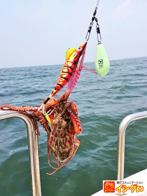 伊勢湾 船タコ釣り 釣具のイシグロ 釣り情報サイト