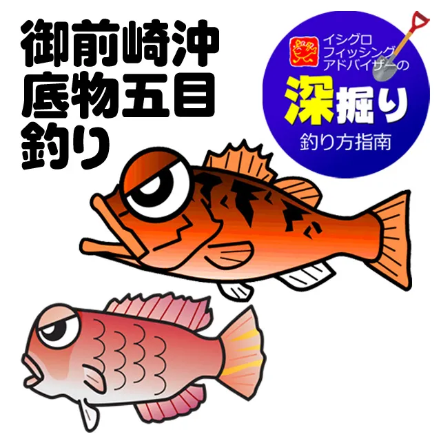 御前崎沖 底物五目釣り レンコ鯛 鬼カサゴ 甘鯛など 深掘り 釣具のイシグロ 釣り情報サイト